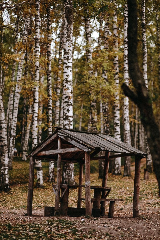 Photograph by Индира Кузнецова