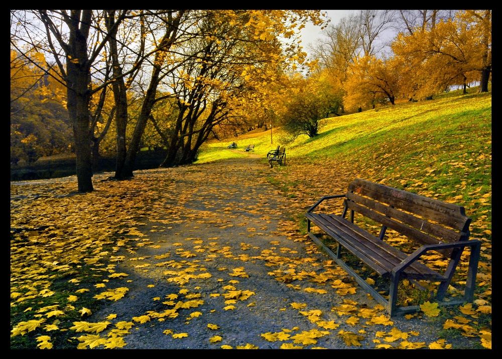 Photograph by Жучков Никита