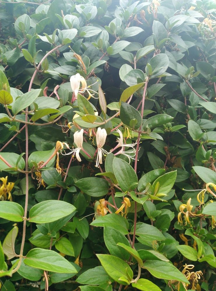 Photograph by Bojan Nikolovski