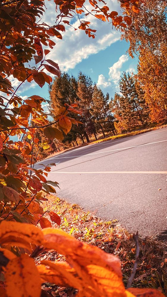 Photograph by Оксана Алейникова