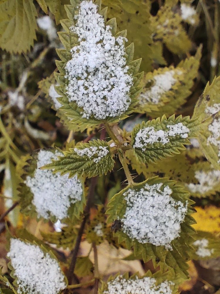 Photograph by Екатерина Носкова
