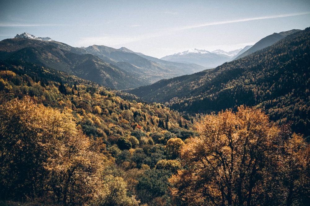 Photograph by Ольга Рязанцева