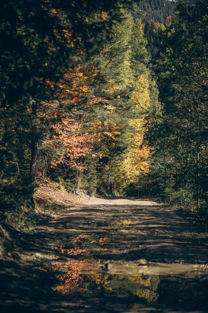 Photograph by Ольга Рязанцева