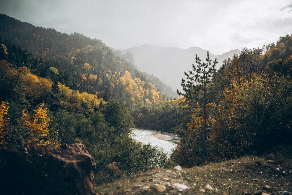 Photograph by Ольга Рязанцева