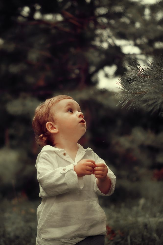 Когда деревья были большими