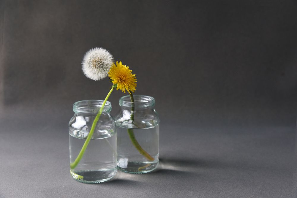 Photograph by Svetlana Khromova