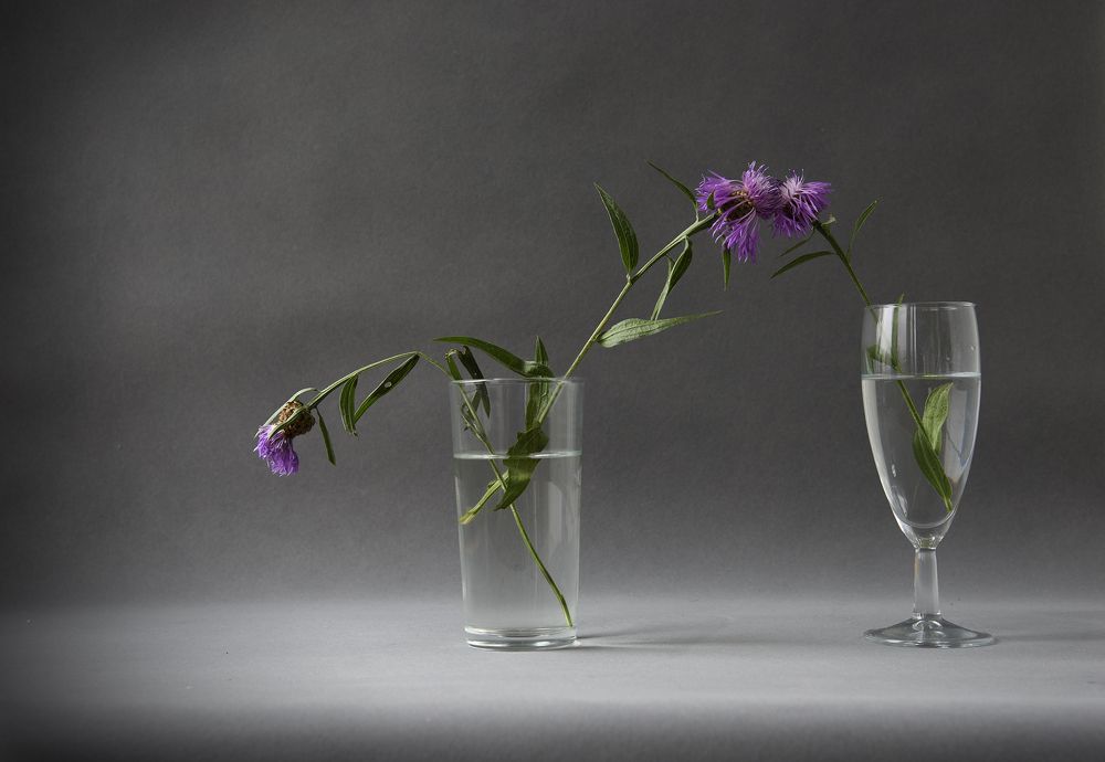 Photograph by Svetlana Khromova