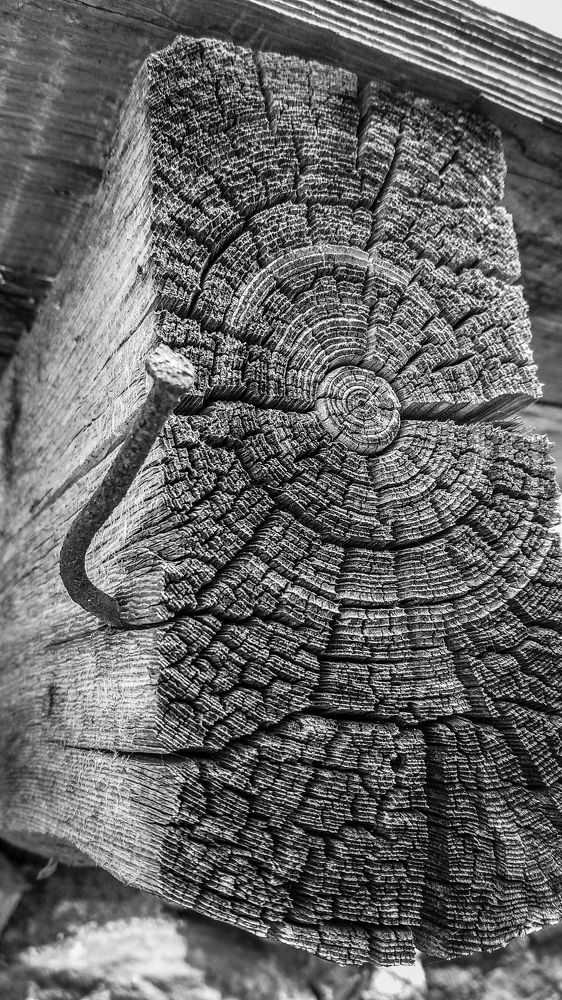 Photograph by Артём