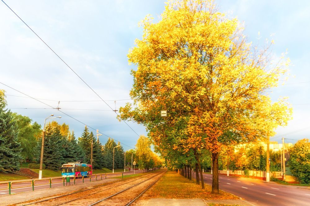Photograph by Вячеслав Борисенко