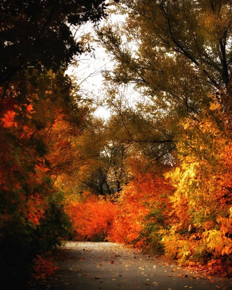 Photograph by Евгения Калугина