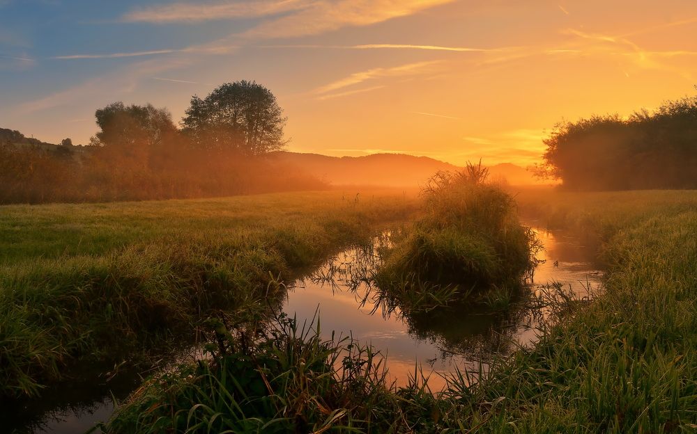 Photograph by Elena Wymann