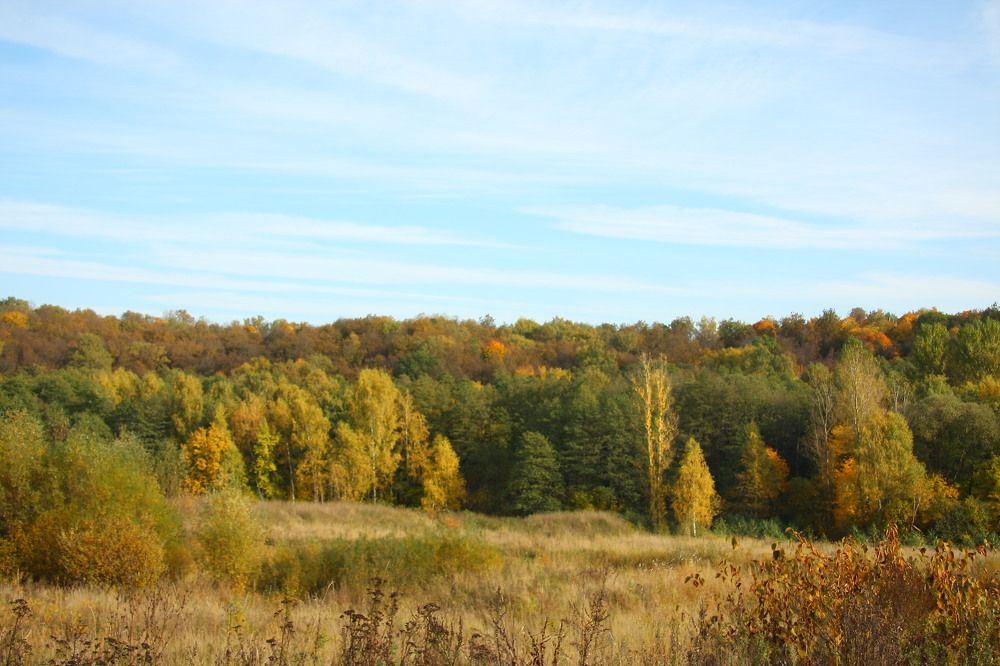 Photograph by Антон Корольков