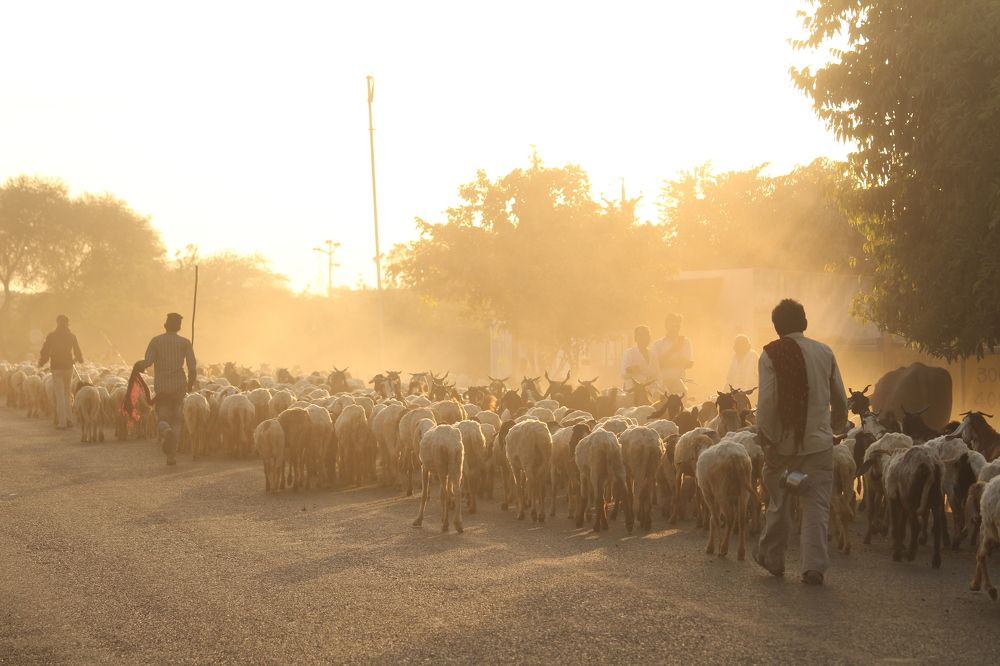 Photograph by Sharad vadoliya