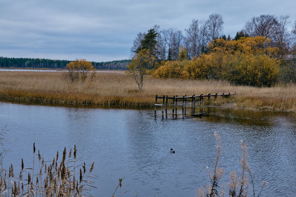 Photograph by Авсеенкова Наталья