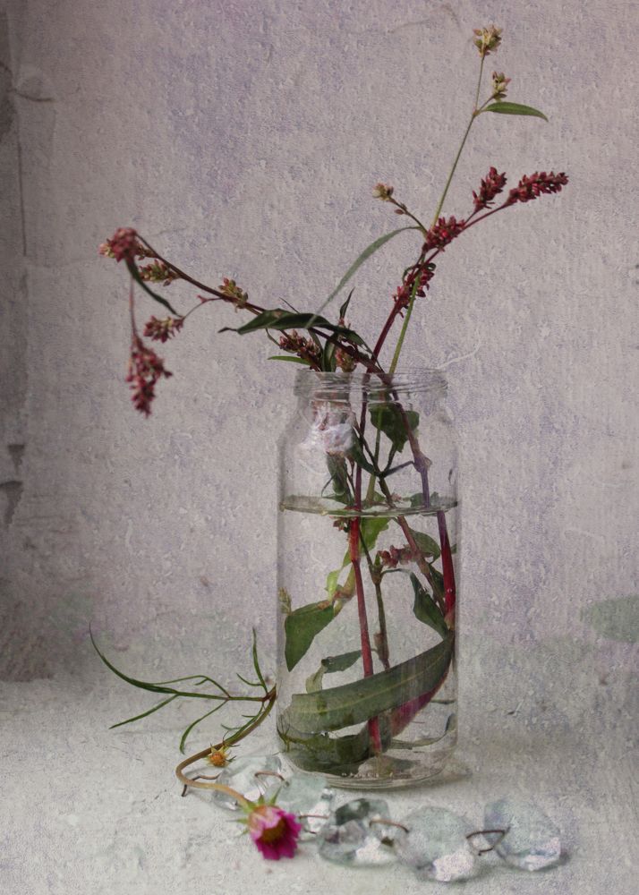 Photograph by Татьяна Аршинова