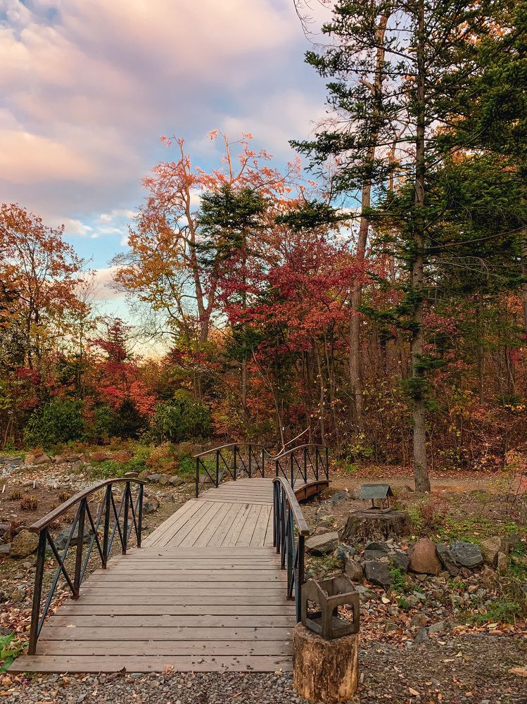 Осень в закатном свете