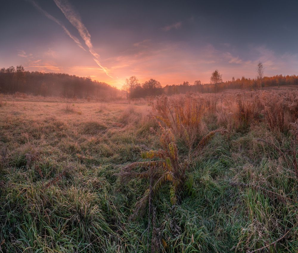 Photograph by Семён Кузнецов