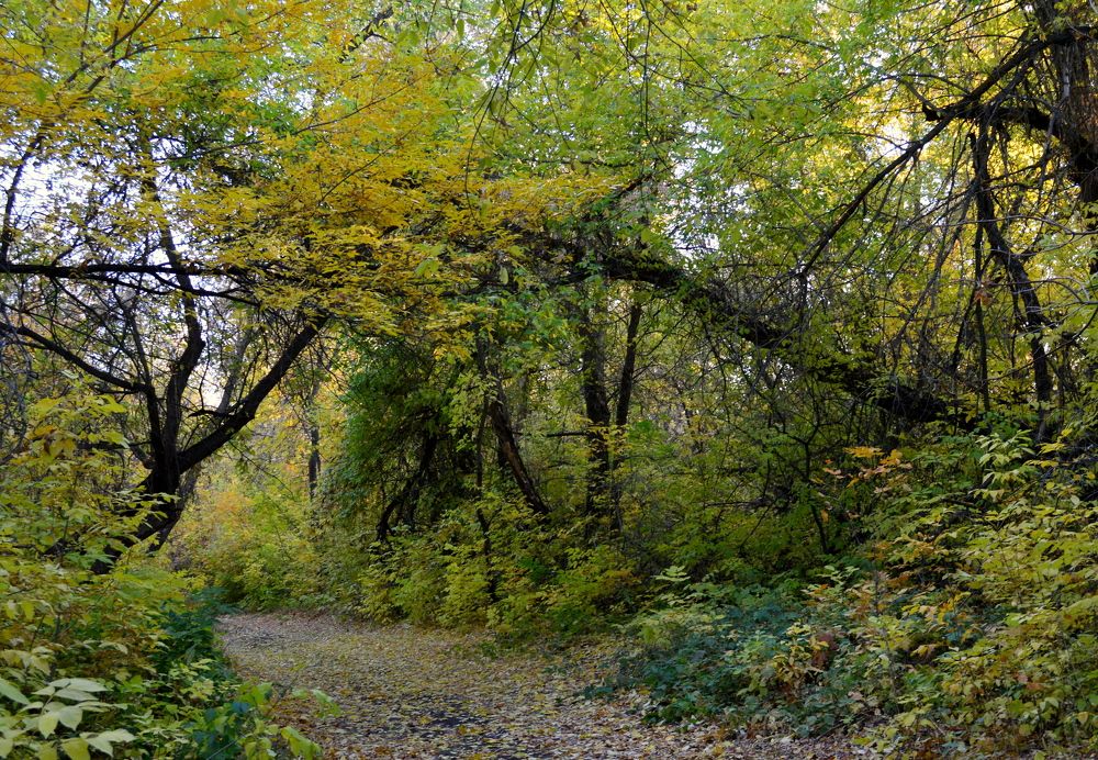 Photograph by Нина Романюк