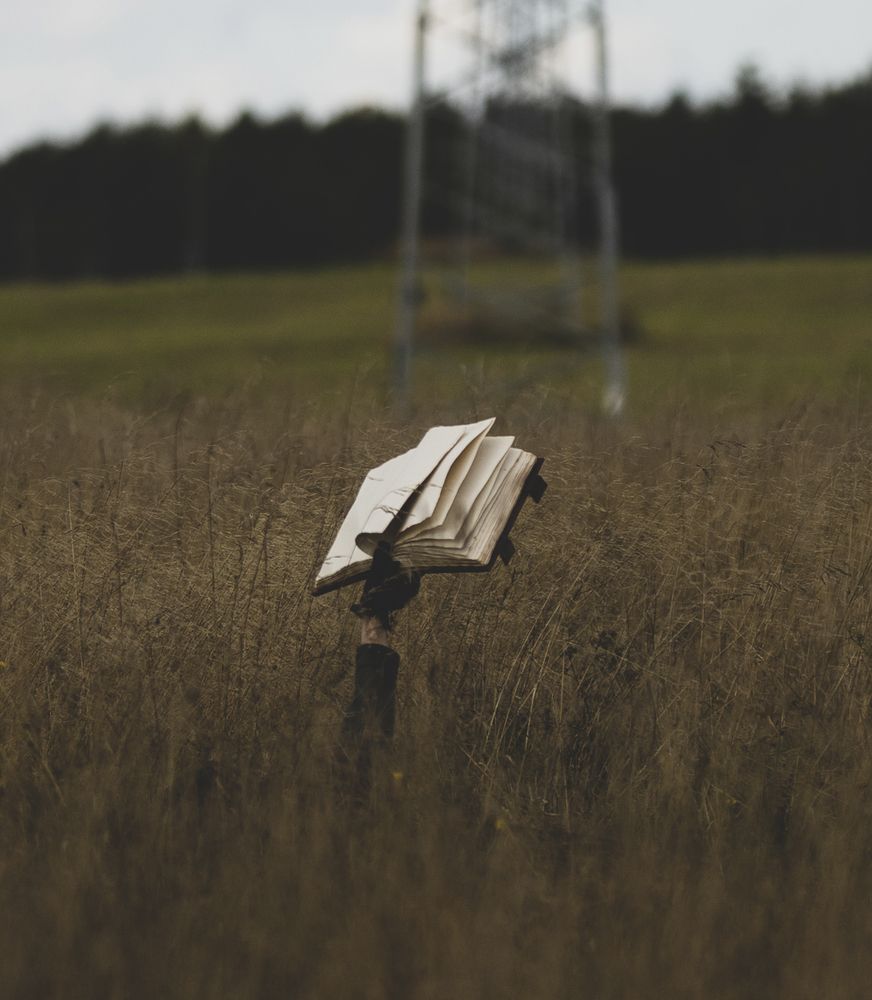 Photograph by Роман Алексеев