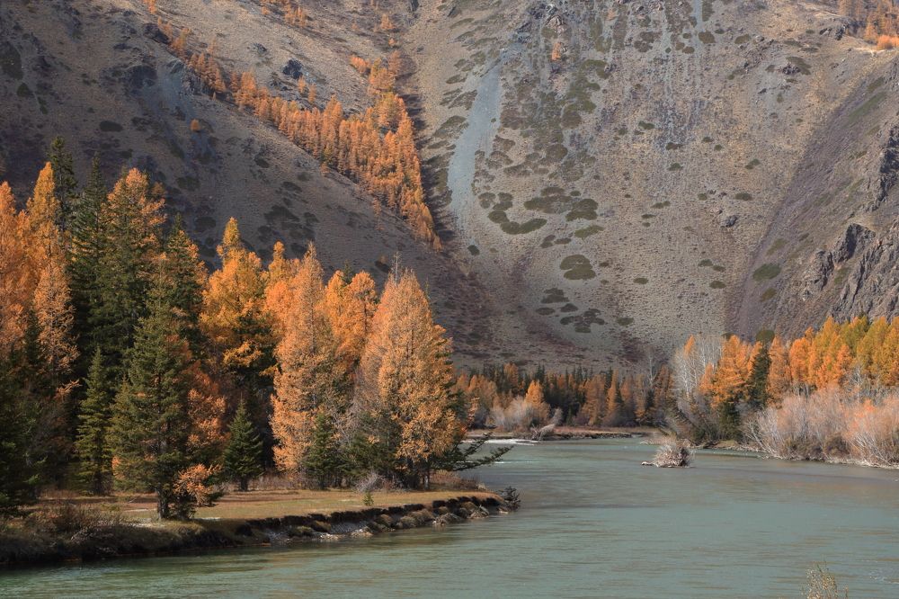 Photograph by Евгений Зинов