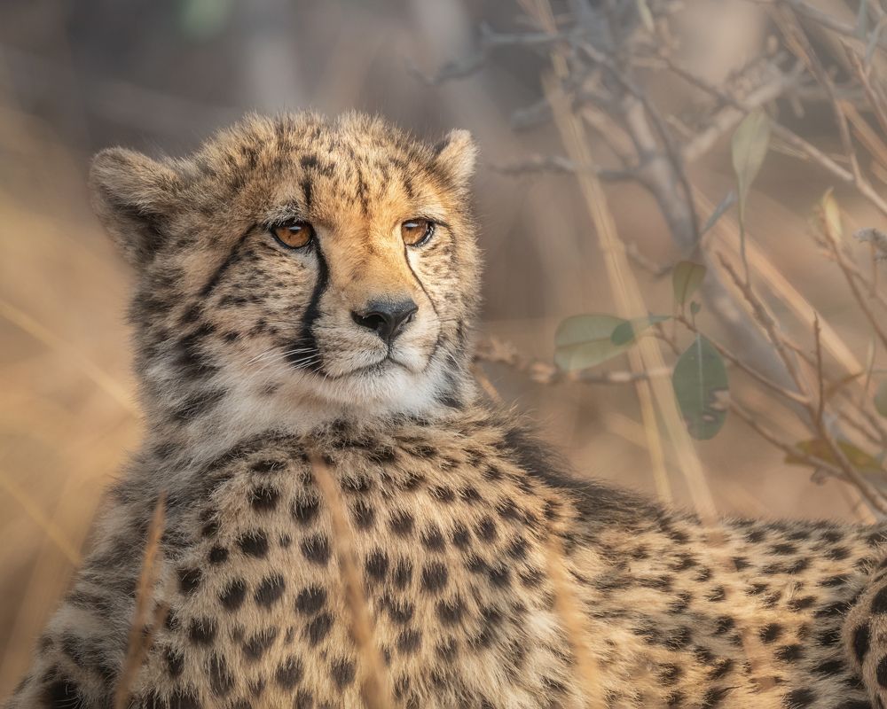 Photograph by Geri Uauy