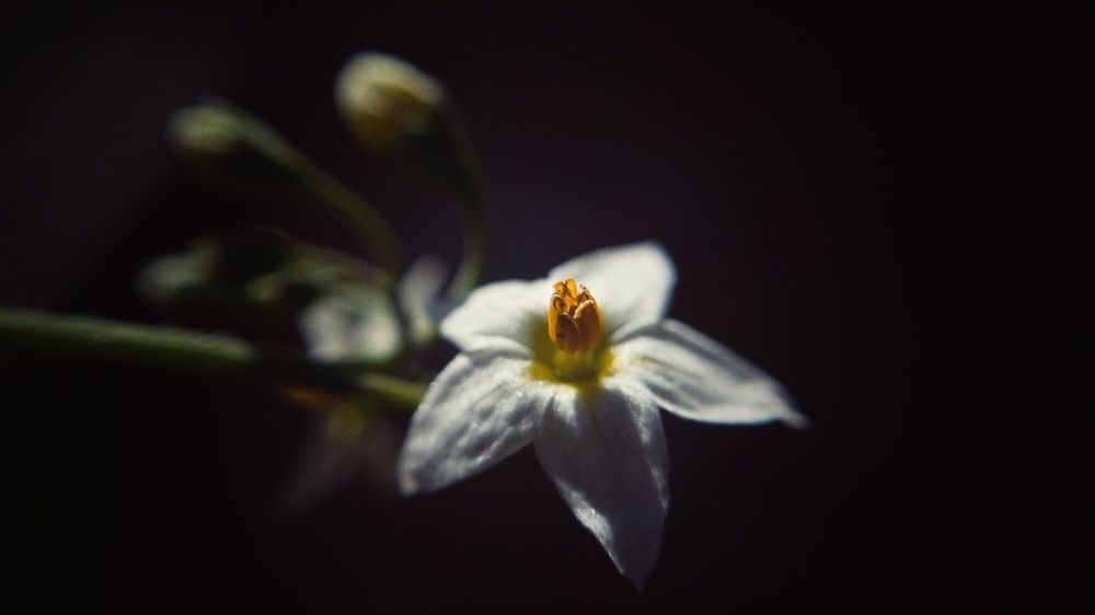 Photograph by Хачик Аджатян