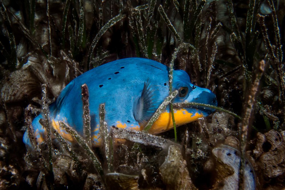 Photograph by Альт Эдуард