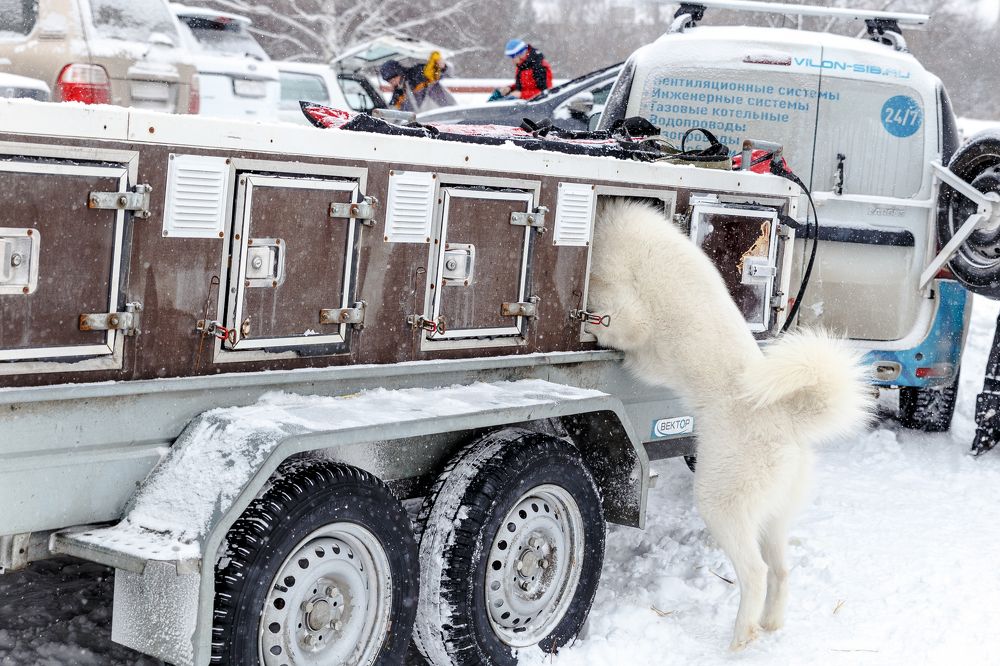 Photograph by Максим Иванов