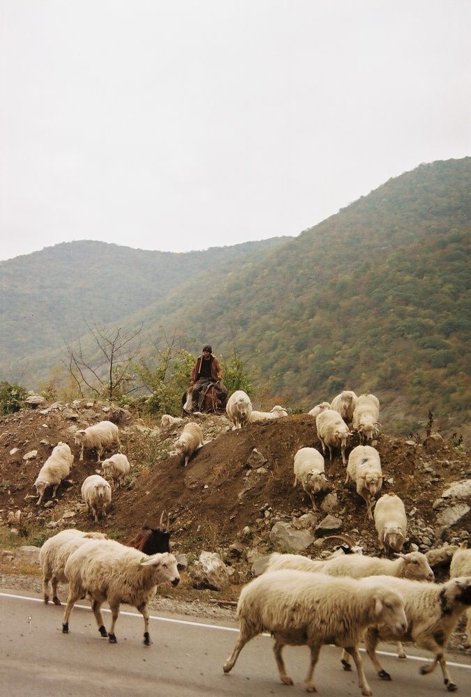 Photograph by Даливский