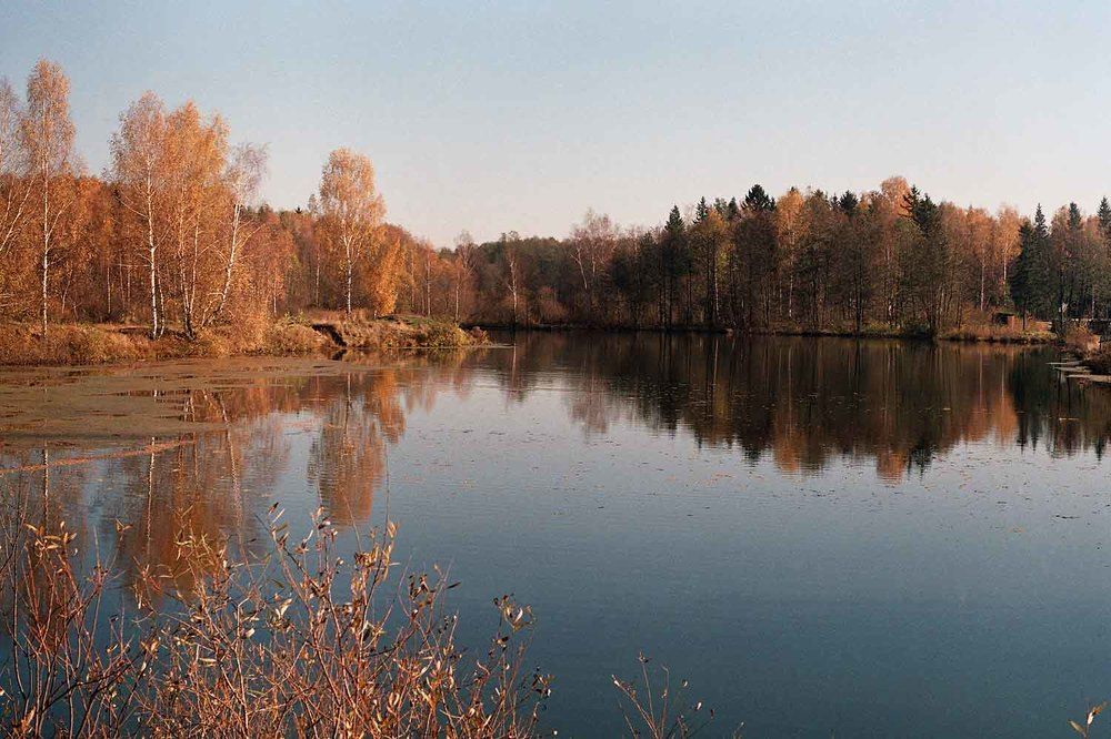 Photograph by Игорь Пшеничников