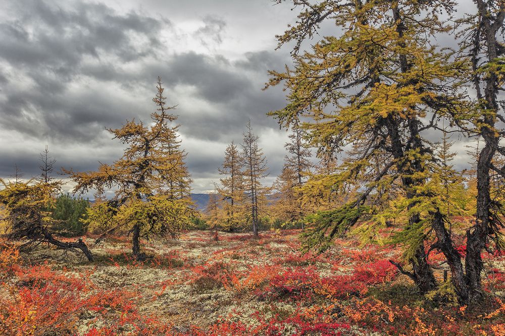 Photograph by Николай Андреев