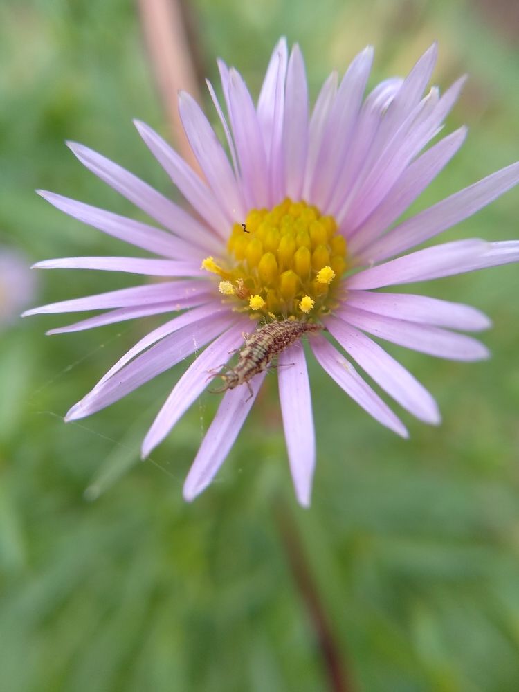 Photograph by Ольга Сафронова