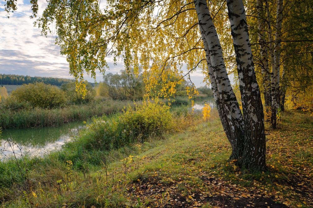 Photograph by Григорий Шалик