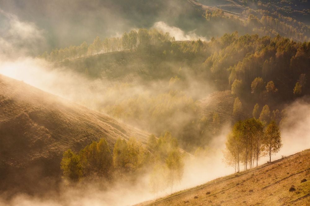 Фотография автора Raul Gruics