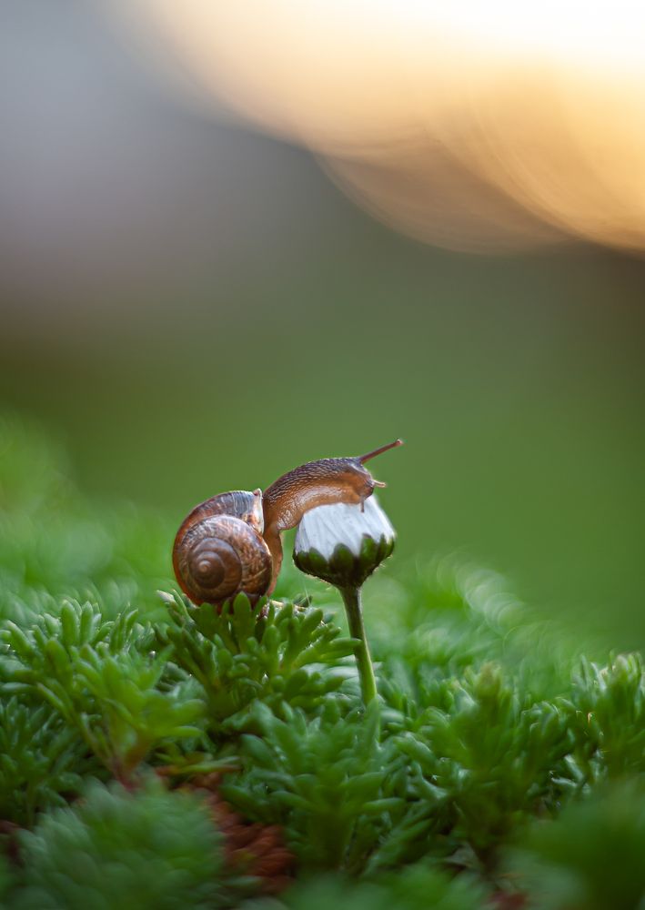 Photograph by Владимир Жуков