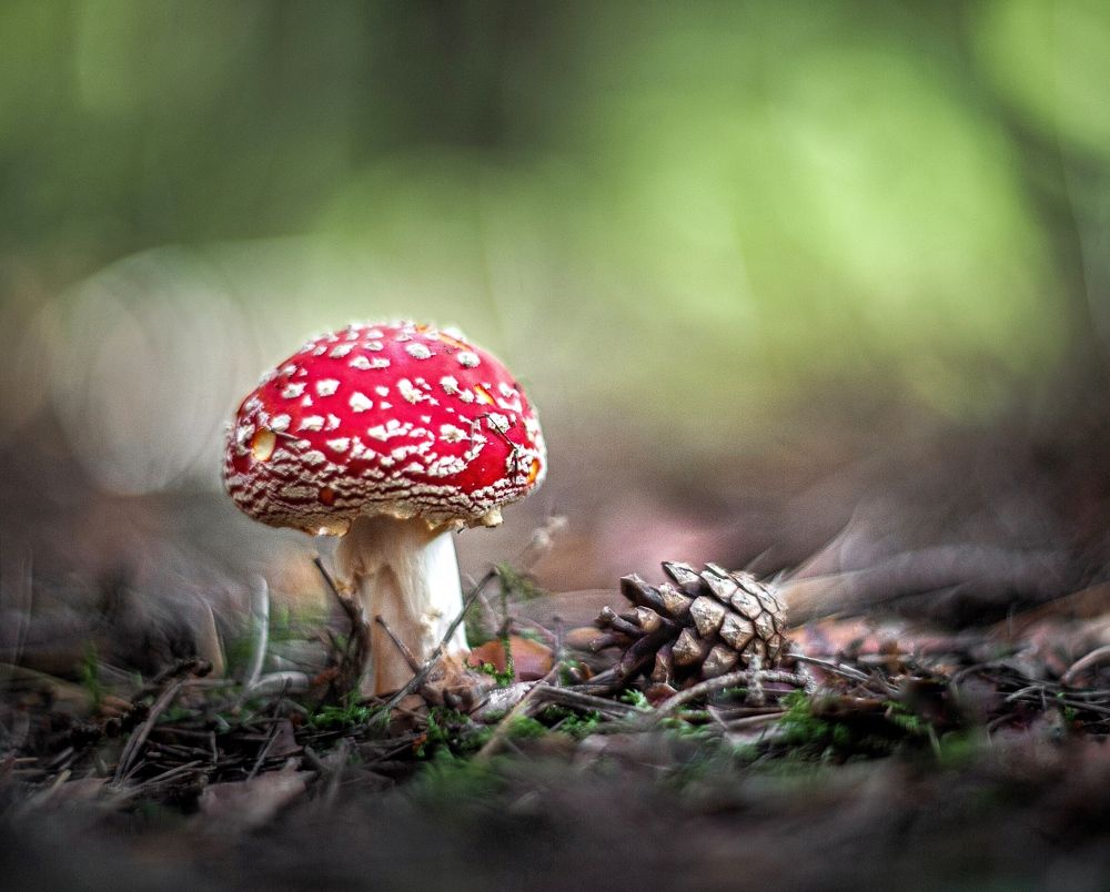 Photograph by Владимир Жуков