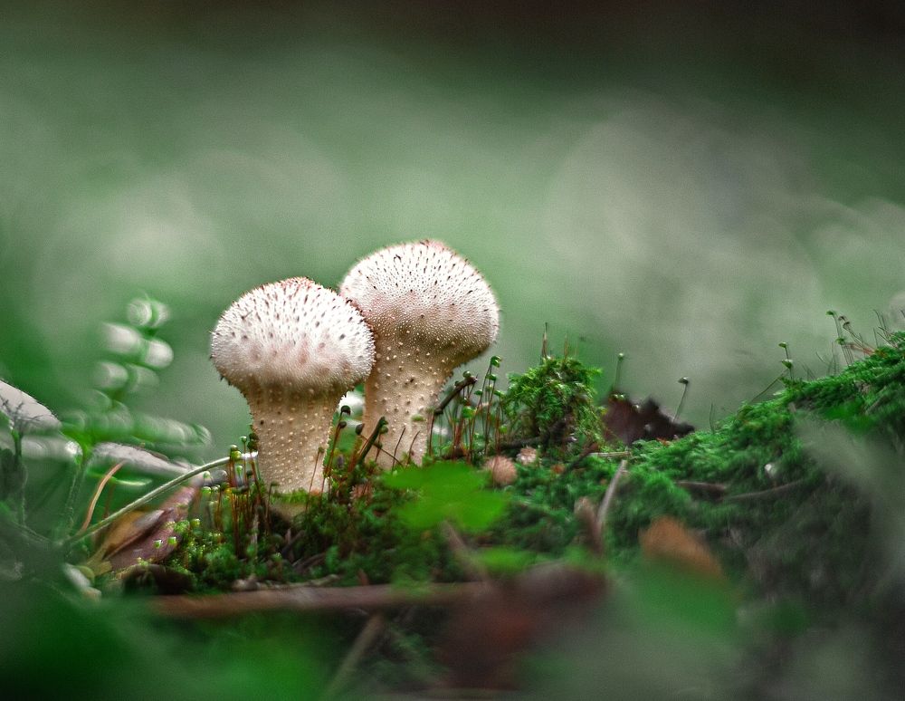 Photograph by Владимир Жуков