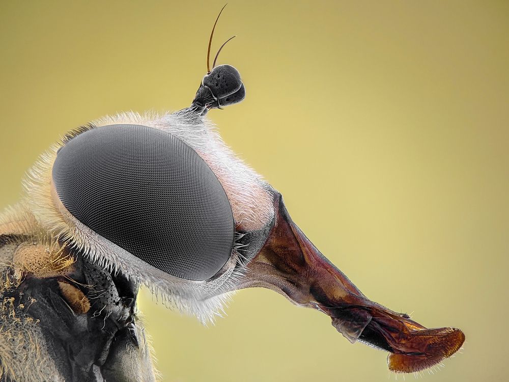 Photograph by Trung Nguyễn