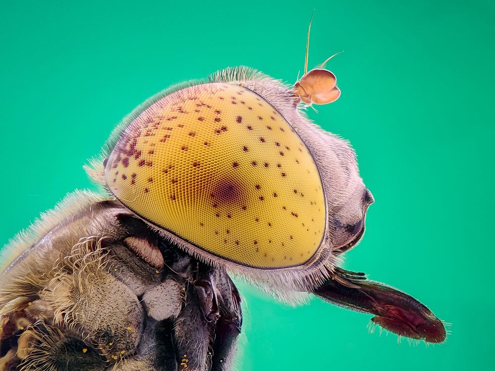 Photograph by Trung Nguyễn