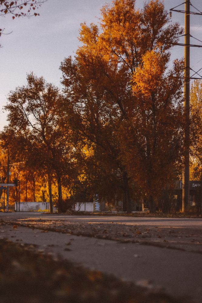 Photograph by Юлия Щербань