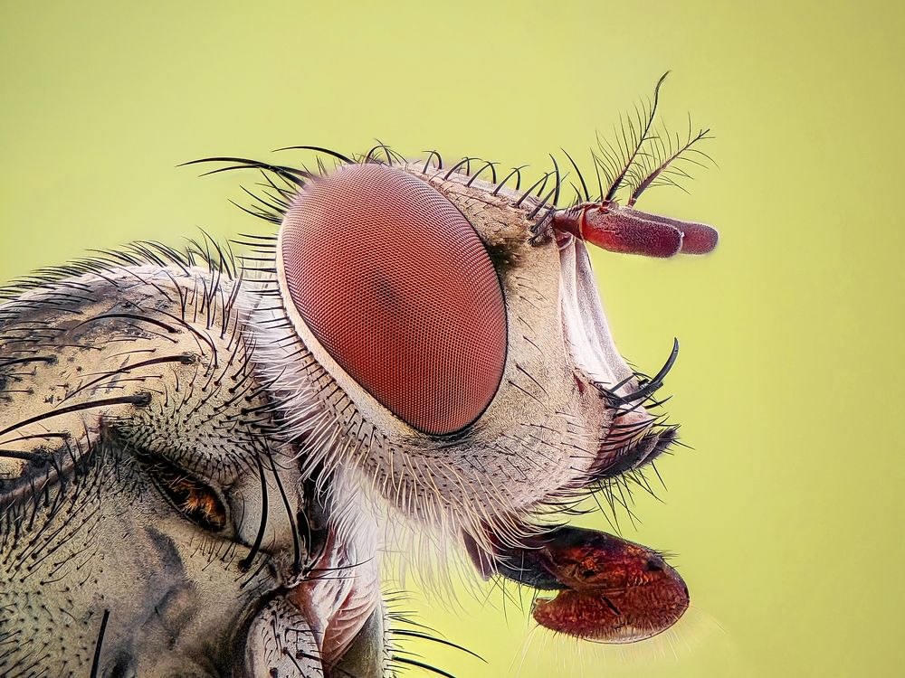 Photograph by Trung Nguyễn