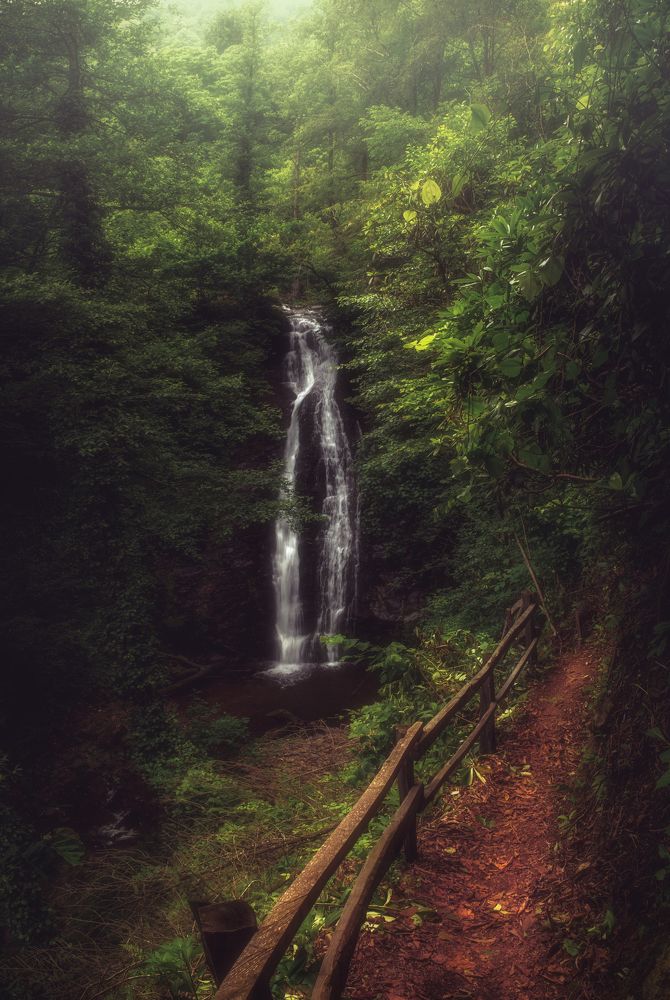 Photograph by Helen Vasilieva