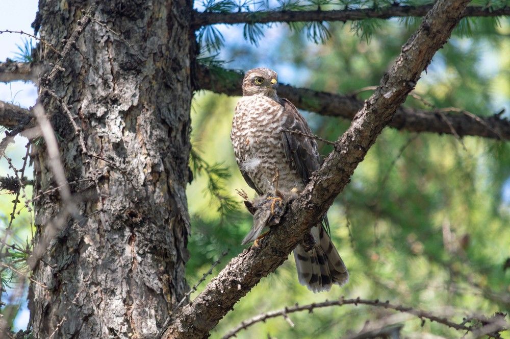 Photograph by Андрей Красников