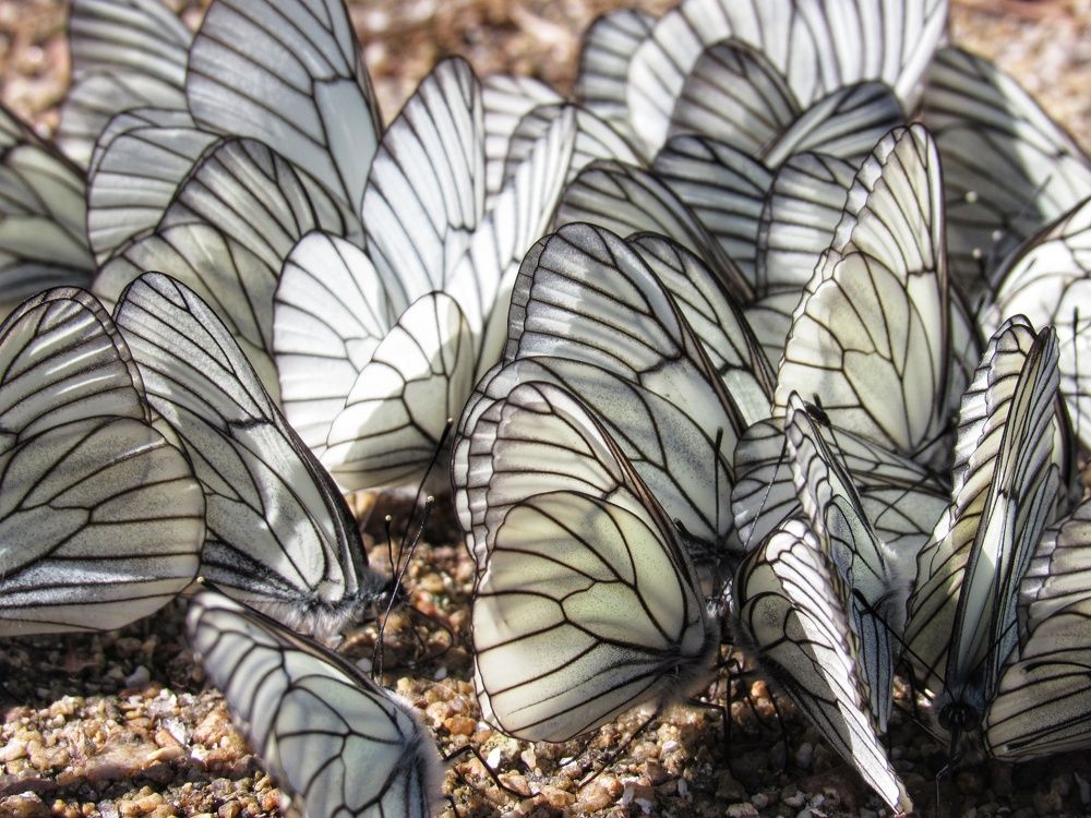 Photograph by Марина Савченко