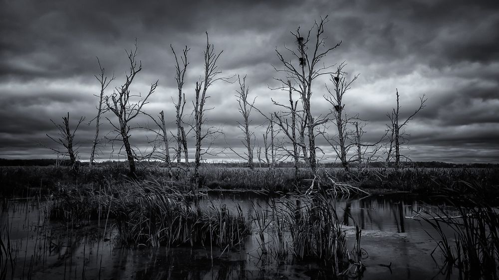 Фотография автора Александр Рудный
