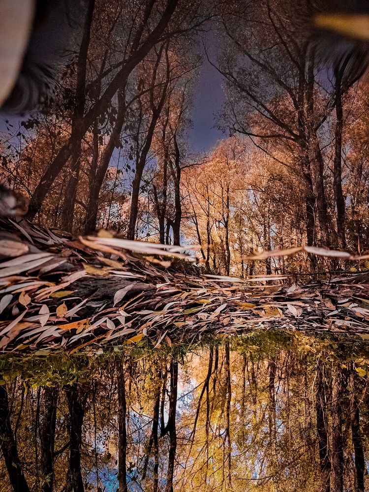 Photograph by Анна Кабиева