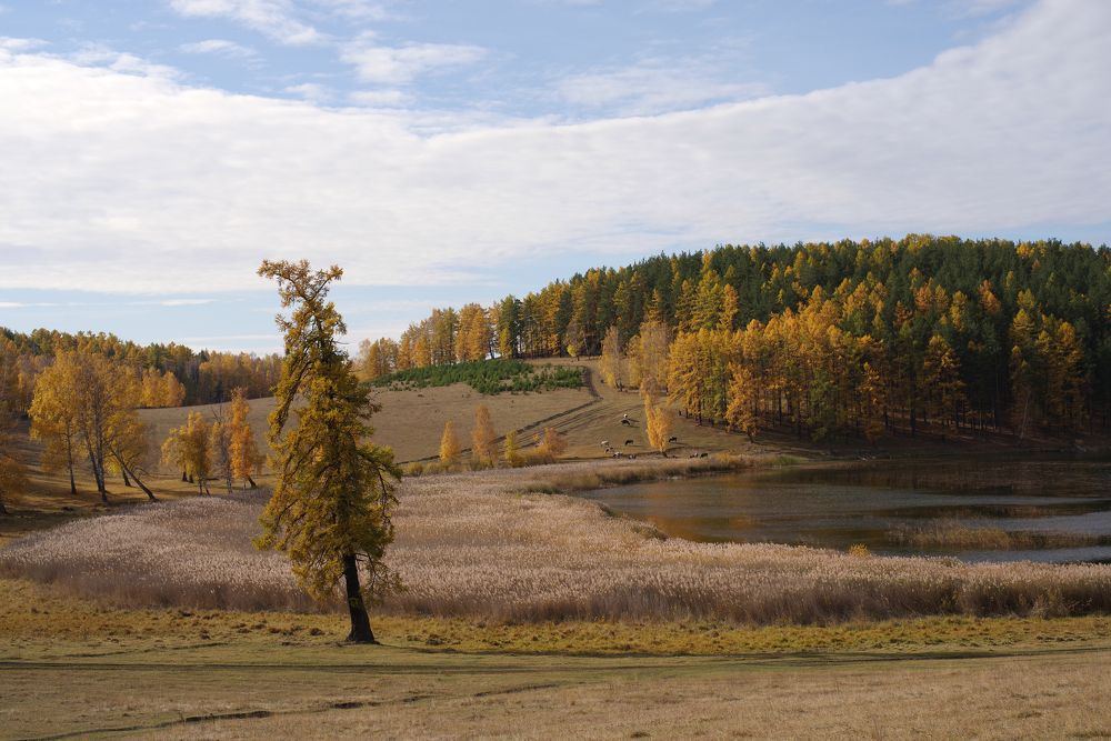 Photograph by Рашит Чумарин