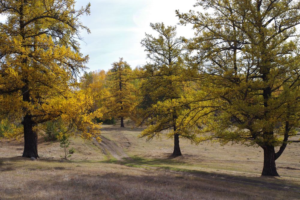 Photograph by Рашит Чумарин