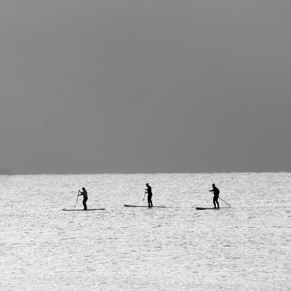 Photo #6621910
