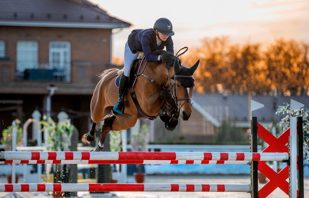 Photograph by Кристина Ксендзова